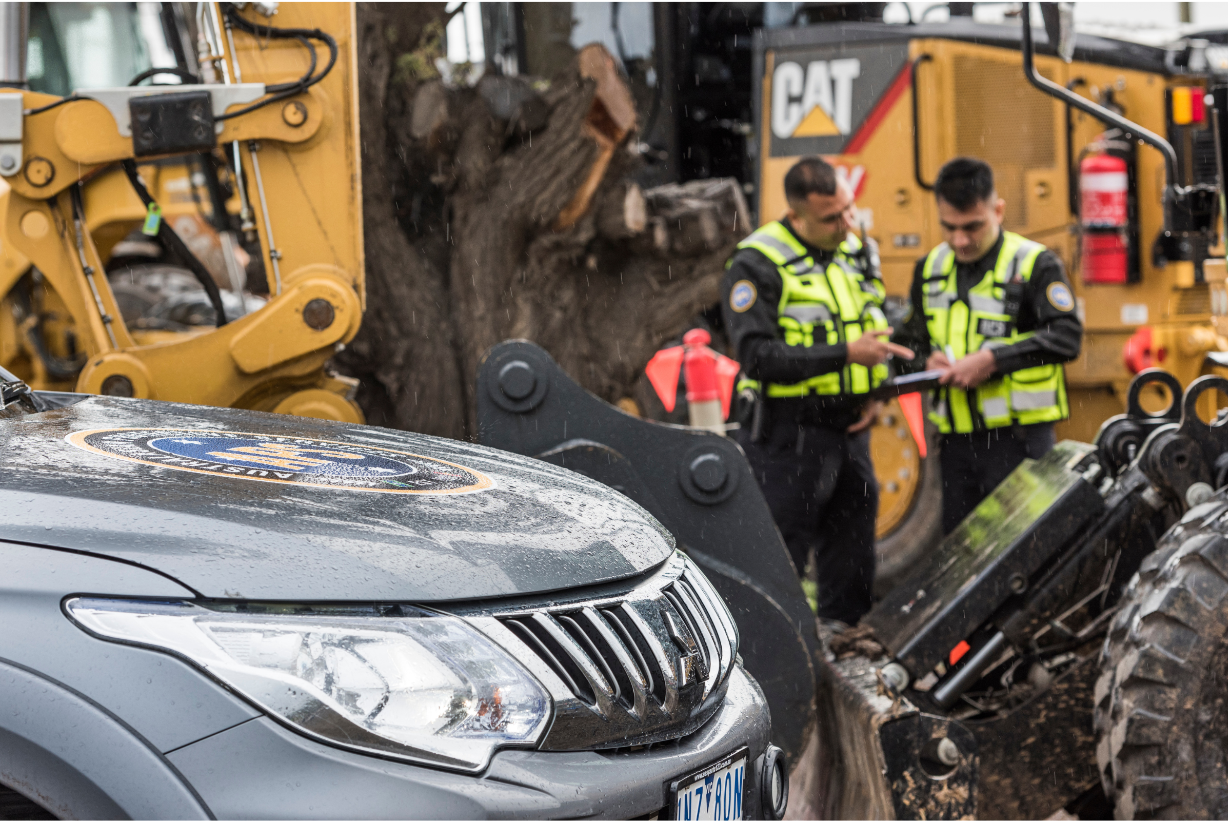 APS Security Risk & Resilience Consulting